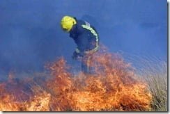 Gorse fires decimating bird populations in Ireland -- Image by Pat-Flynn via IrishWeatherOnline.com