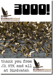 Birdwatch Ireland hits 3,000 likes on Facebook