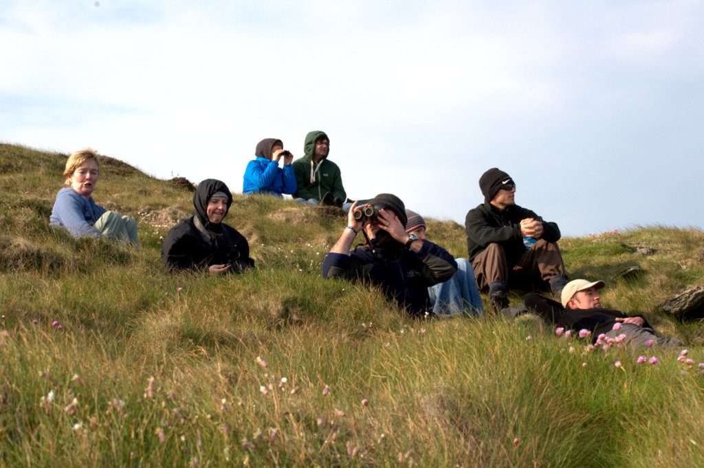Whale watching from a West Cork Headland