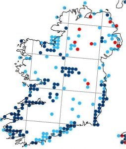 Common Earwig Distribution in Ireland