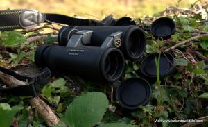 Vanguard Endeavor ED 8.5x45