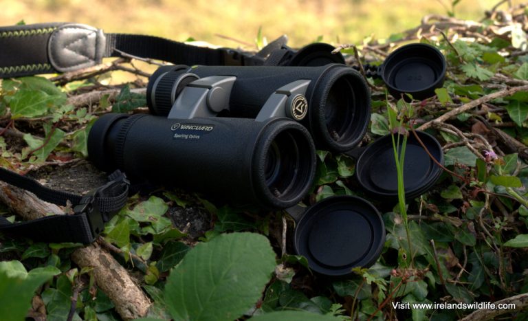 Vanguard Endeavor ED 8.5x45
