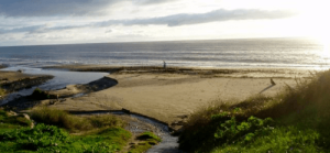 Coastwatch team seeks Citizen Scientists for shore survey