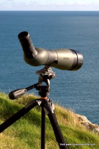 Optics for whale watching