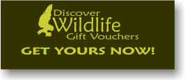 Get your Discover Wildlife Voucher