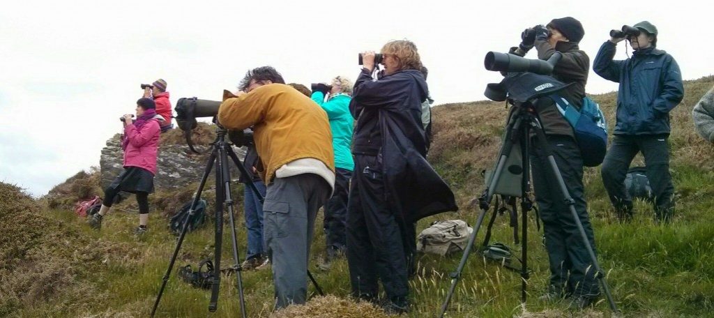 Watching whales from a West Cork headland on the Spring 2014 Discover Wildlife Weekend