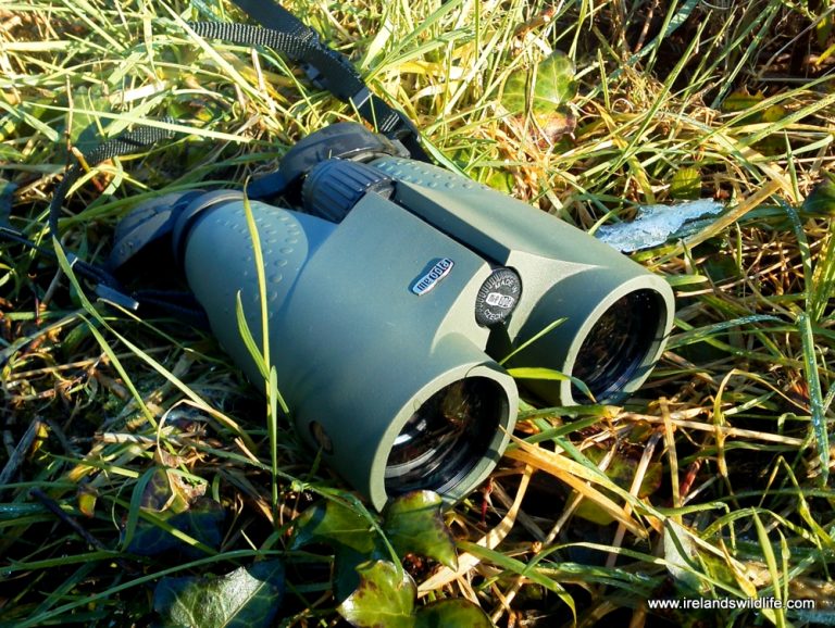 Meopta Meostar 10x42 HD