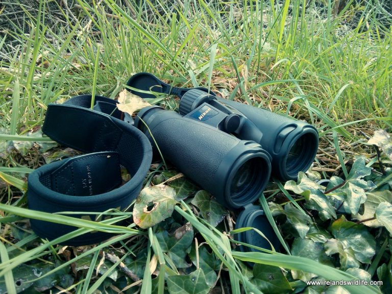 Nikon's flagship EDG Binocular