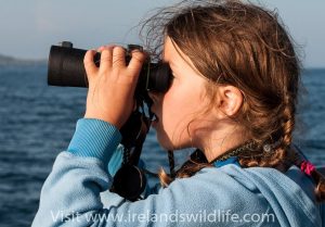 Choosing the right binocular