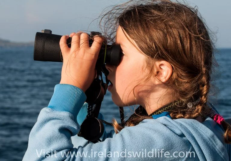 Choosing the right binocular