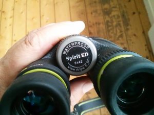 Binocular magnification