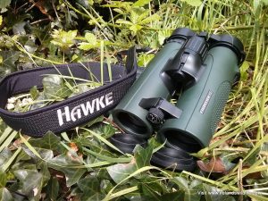 Hawke Frontier ED Review
