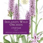 Irelands Wild Orchids