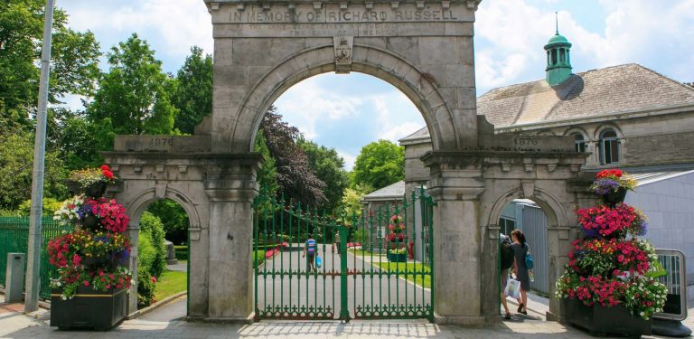 Ireland's Urban BioBlitz, Limerick