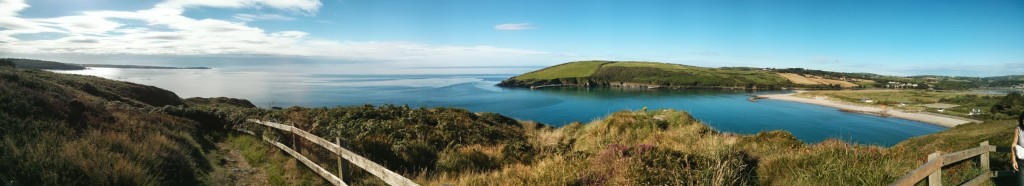 Guided wildlife and nature walks in West Cork, Ireland