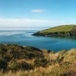 Guided wildlife and nature walks in West Cork, Ireland