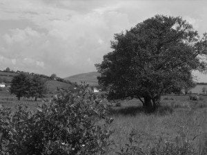 August on the calendar road