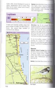 Finding Birds in Ireland Sample Page