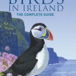 Finding Birds in Ireland by Eric Dempsey