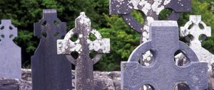 Graveyards are a haven for Irish wildlife