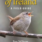 The Birds of Ireland: A Field Guide