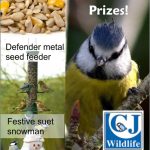 Bird Food Competition
