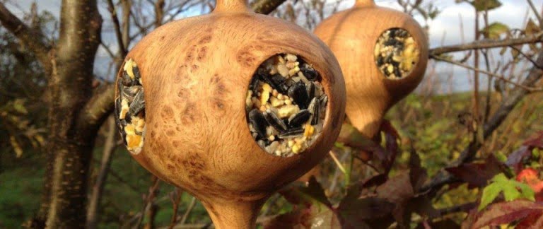 Quercus Oak Bird Feeders