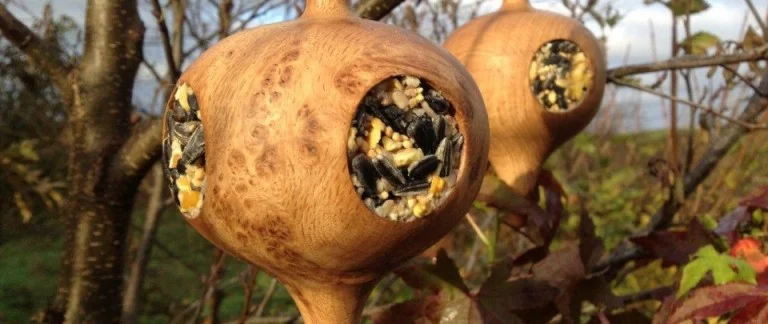 Quercus Oak Bird Feeders