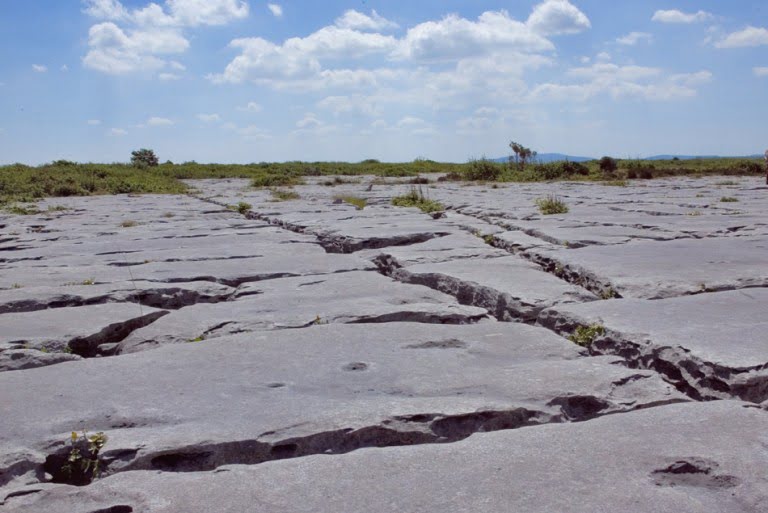 Limestone Pavement, The Burren, Co. Clare