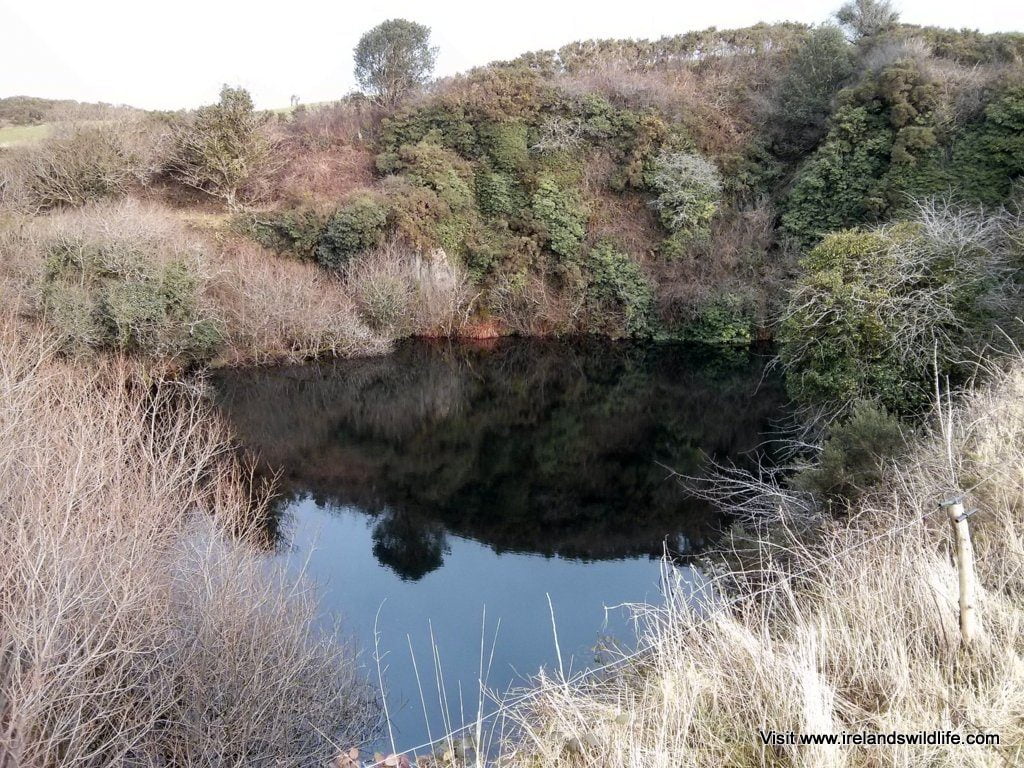 Flooded quarry