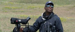 The Urban Birder in Ireland