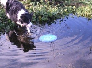 Ruby-enjoying-the-new-lakes-of-winter