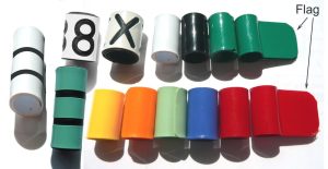 godwit-project-colour-rings