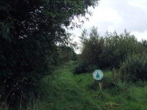 The-Bridle-Path