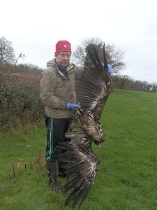 Dr Allan Mee with the white-tailed eagle shot dead in Tipperary