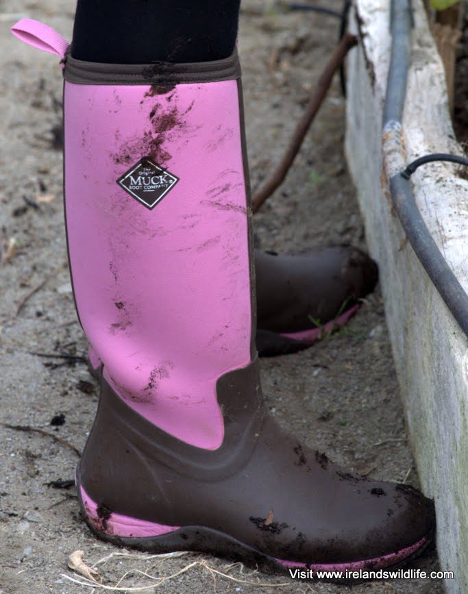 Muck Boots Arctic Adventure Boot Women's Pull On Tall Wellington Boots 