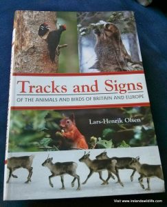 Animal Tracks & Signs