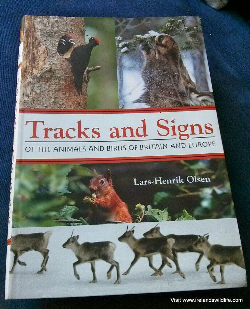 Book Review: Tracks and Signs of the Animals and Birds of Britain and  Europe | Ireland's Wildlife