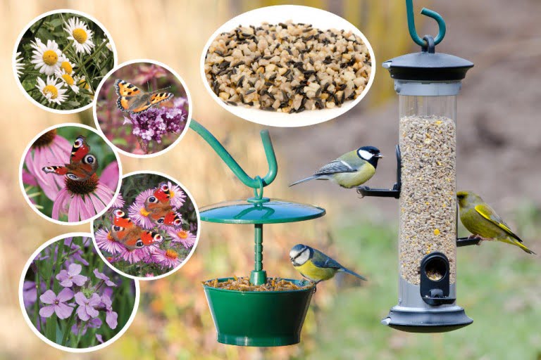 CJ Wildlife Prize Pack