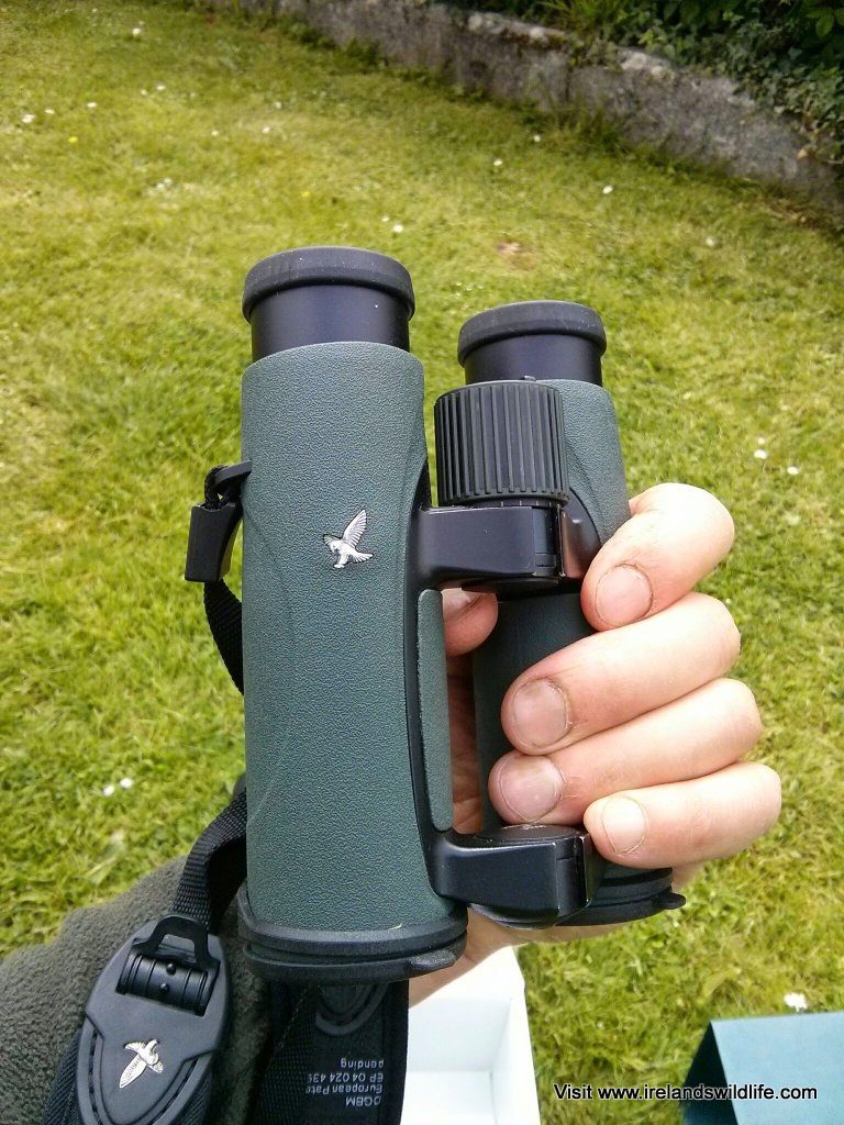 Swarovski EL 8x32 Swarovision Binocular Review | Ireland's Wildlife