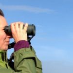 Birding, any time, any place, anywhere