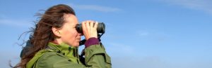 Birding, any time, any place, anywhere