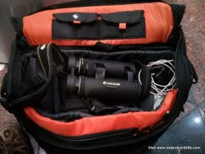Vanguard Endeavor EDII in the bag