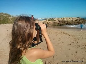 Vanguard Endeavor EDII binocular review