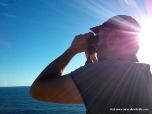 Watching whales from the cliffs at Kalbarri through the Vanguard Endeavor EDII