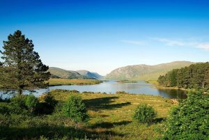 Glenveigh National Park -- a possible site for wolf re-introduction in Ireland