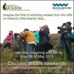 Experience the wild side of the Wild Atlantic Way on a Discover Wildlife Weekend