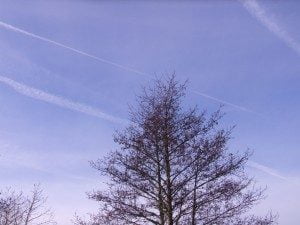 January Sky