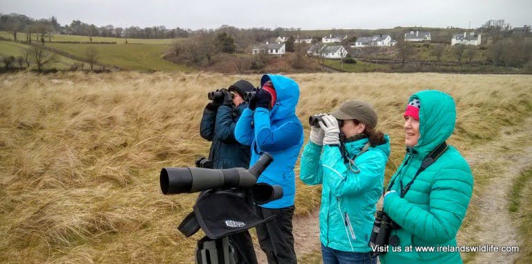 wildlife walk West Cork