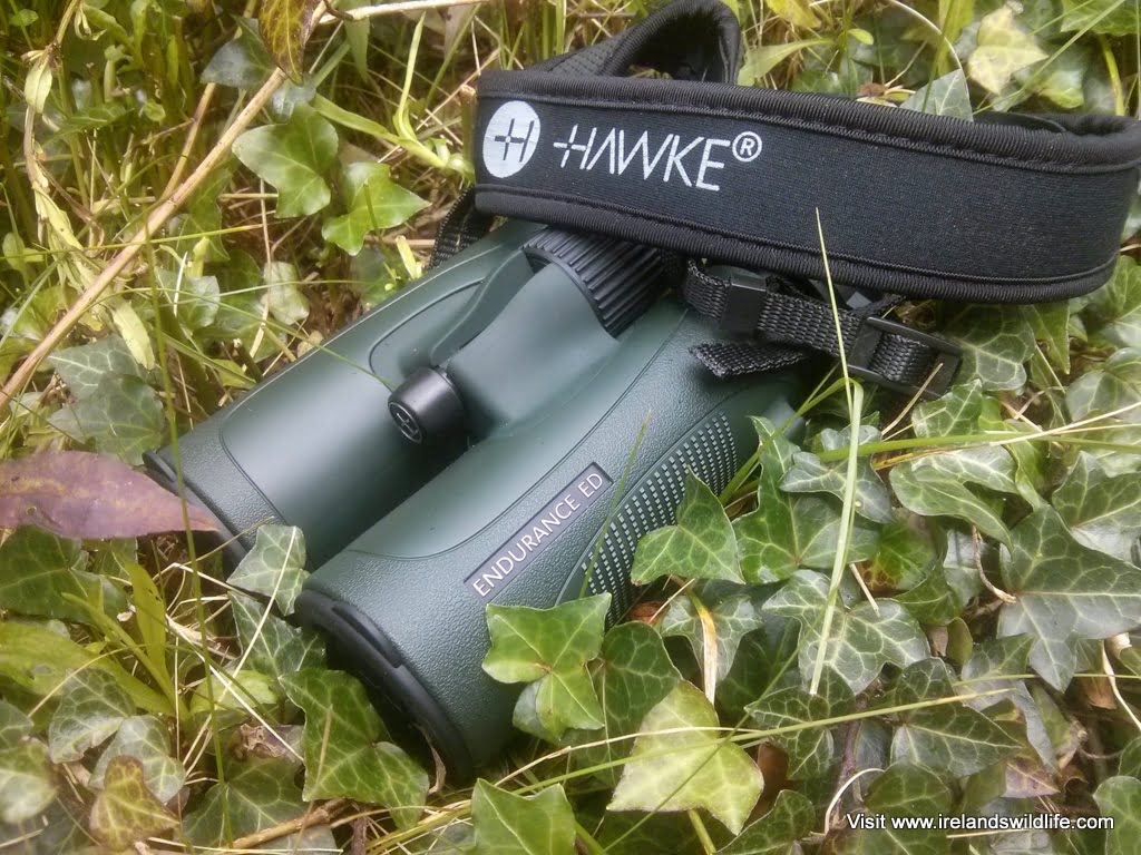 Hawke Endurance ED 8 X 42  Waterproof  Binoculars #36205 green UK Stock BNIB 